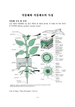 [생물공학]식물체와 식물세포의 특성