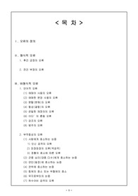 [논리적 오류]논리적 오류(정의 및 예시)