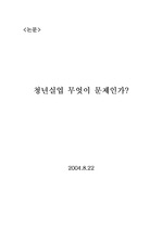 [실업] 청년실업 원인분석과 해결방안 및 설문 (A+)