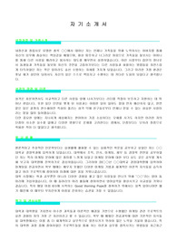 자기소개서-마케팅 기획 부분
