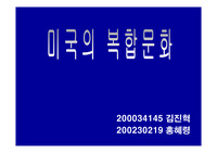 [미국 문화] 미국의 복합 문화