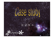 자궁하수 case study(파포)