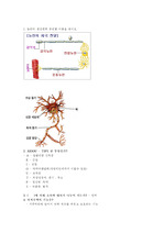 내과 쪽지시험 대비