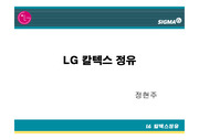 [소비자행동분석]LG 칼텍스 정유