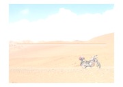 사막 그리고 오토바이
