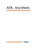[신경영과 정보기술] AOL에 대한 연구