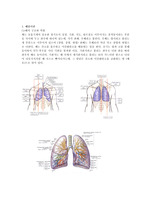 폐암 문헌고찰