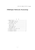 DMB(Digital Multimedia Broadcasting)