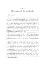 [일반생물] Exp.2  Observation of  the blood cells.