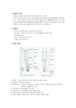 [정형외과] 절단 환자 간호