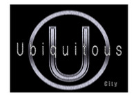 [MIS(경영정보시스템)]u-city