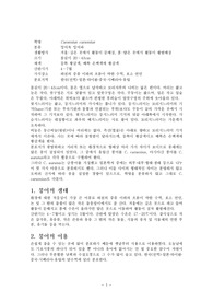 [해부] 붕어 구조, 생태