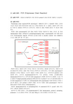 [생명공학] PCR