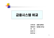 [금융] 금융시스템 비교