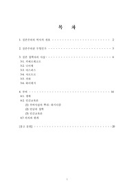 [교육사상연구]실존주의 철학자 부버