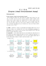 [생화학] ELISA (Enzyme Linked ImmunoSorbent Assay)