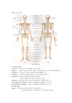 [간호] 정형외과 해부생리