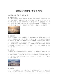 환경운동연합의 활동과 영향
