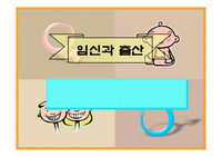 [유아교육] 임신과 출산