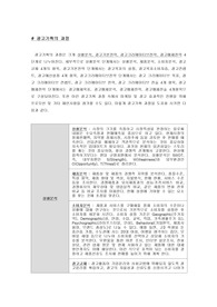 [광고] 광고 기획의 과정
