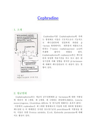 [약리학] 세프라딘의 효능