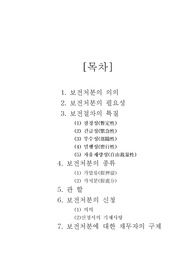 [법]보전처분의 개념