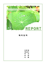 [레포트표지]물방울 녹색 잎
