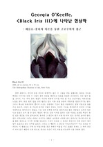 [미술사, 시각문화]조지아 오키프 그림의 현상학적 분석