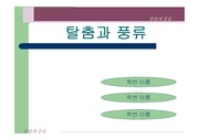 [국문학]국문학과 풍류정신 (탈춤과 풍류)-파워포인트 자료