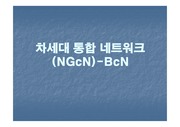 [BcN]차세대 통합 네트워크(NGcN)-BcN