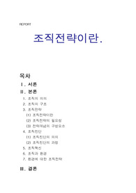 [경영]조직전략