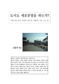 [도시지리]광주답사(광주신도심의 역할과 광주의 미래상)