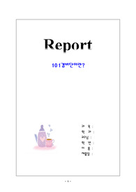 [경찰행정학]101경비단에 대한 레포트