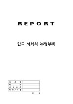 [행정학]한국사회의 부정부패(A+)