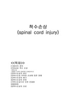 [신경]척수손상(spinal cord injury)