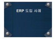 [ERP]ERP 도입 사례