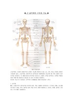 [간호학]근골격계의 구조와 기능