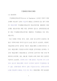 [국제통상]수입화물선취보증제도-수입화물선취보증서