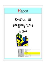 [아동상담과 치료]아동지능검사 (K-Wisc III ) 결과 보고서