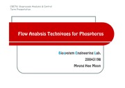 [화학공학]Flow Analysis Techniques for Phosphorus
