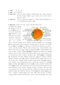 [과학 실험]눈의 색감 형성