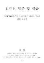 [컴퓨터]2004~2005년동안 유명했던 컴퓨터 바이러스에 관한 보고서