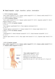 [근육학]손근육(hand muscle)의 해부학과 운동정리