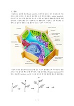 [일반생물, 식물해부]식물세포의 특성