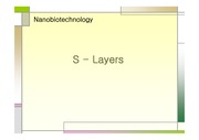 [Nanobiotechnology]S - Layers