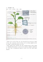 [생물학]식물조직계