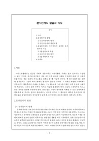 [국어학]문자언어의 발달과 기능