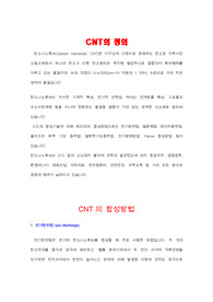 [무기화학]CNT(탄소나노튜브)