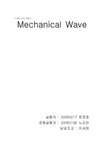 [일반물리]Mechanical Wave Mode 실험