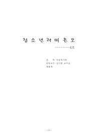 [사회복지]청소년미혼모